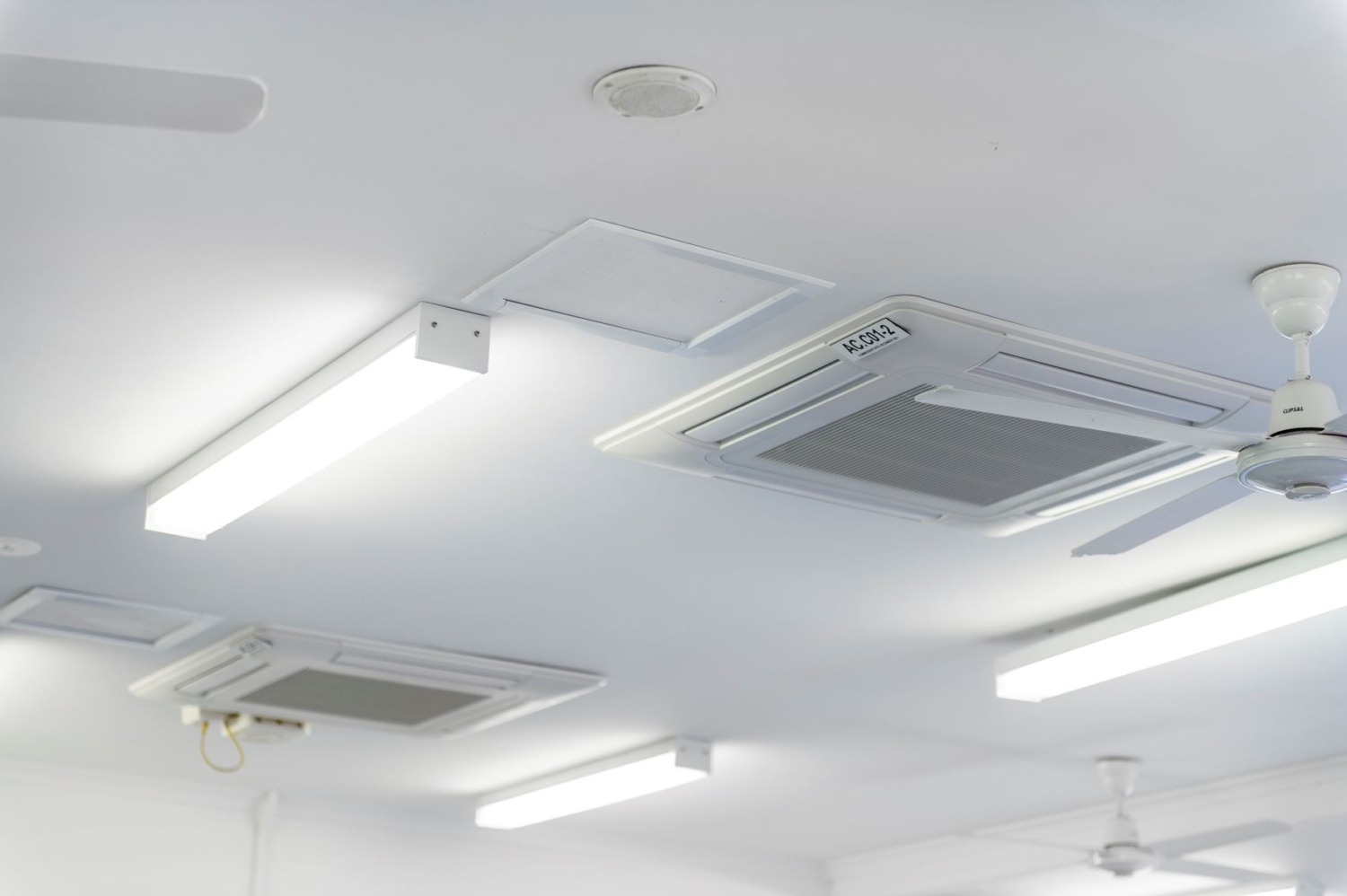 Cooler Cleaner Schools Program Alder Constructions